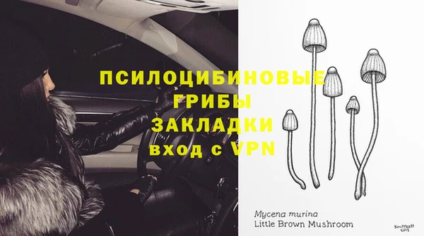 герыч Абинск
