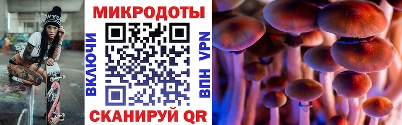 Псилоцибиновые грибы GOLDEN TEACHER  ссылка на мегу зеркало  Алексеевка 